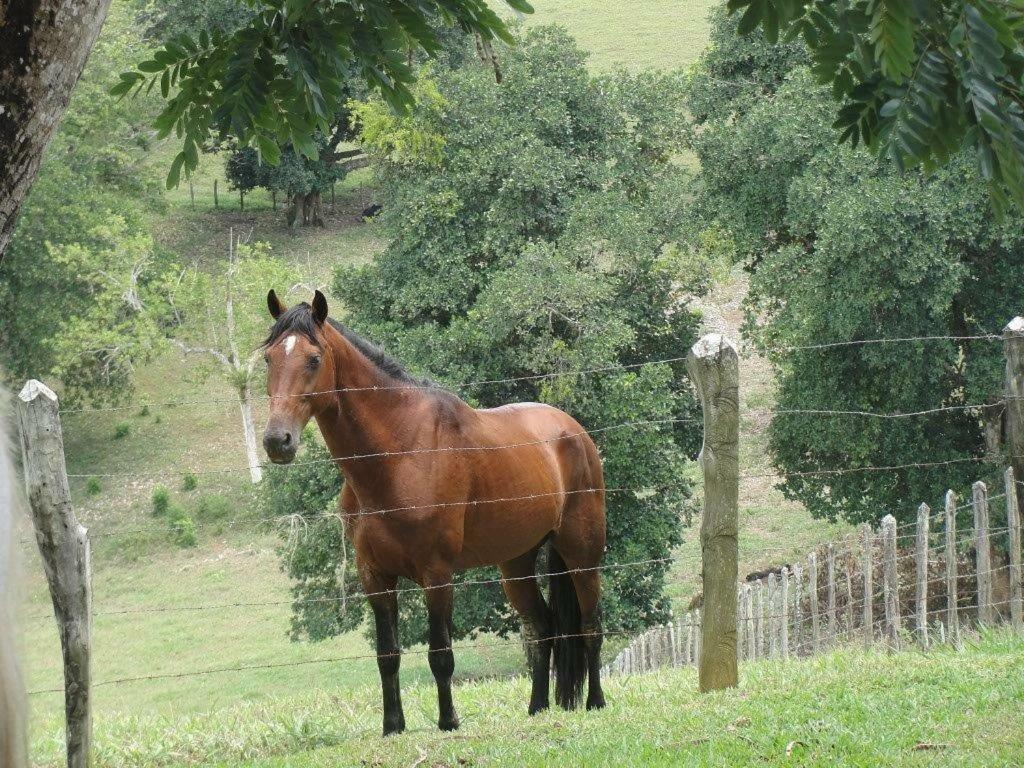 Fazenda Hotel Serra Da Copioba Santo Antônio de Jesus Eksteriør bilde