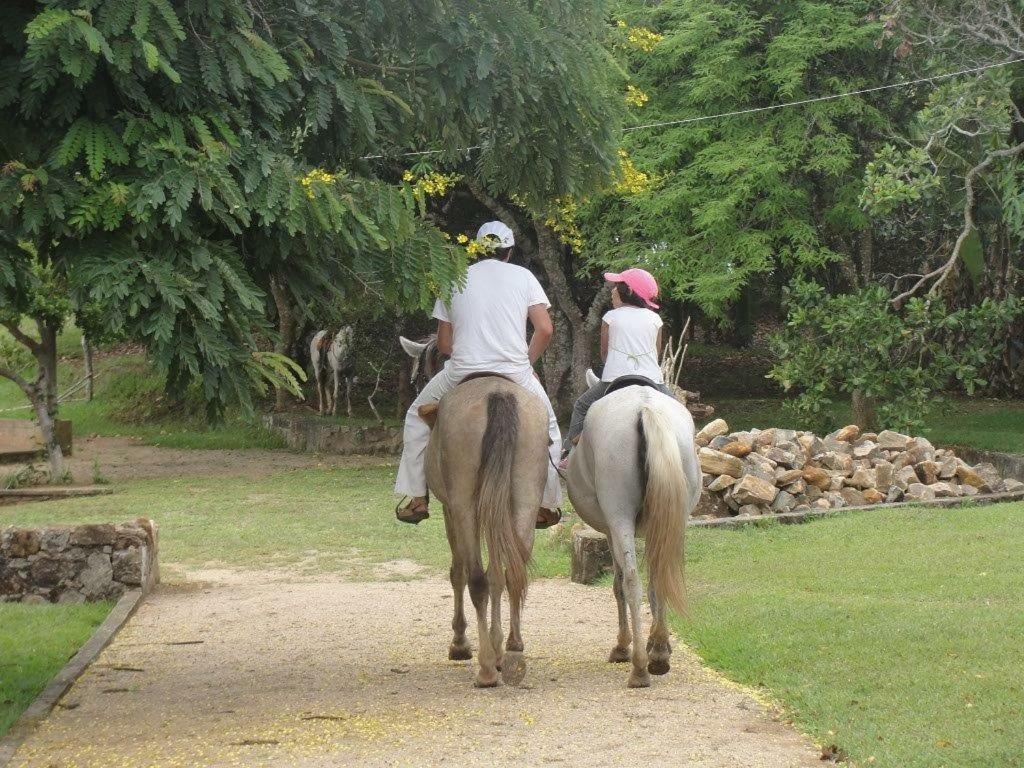Fazenda Hotel Serra Da Copioba Santo Antônio de Jesus Eksteriør bilde